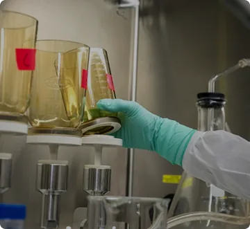 Chemical & Process